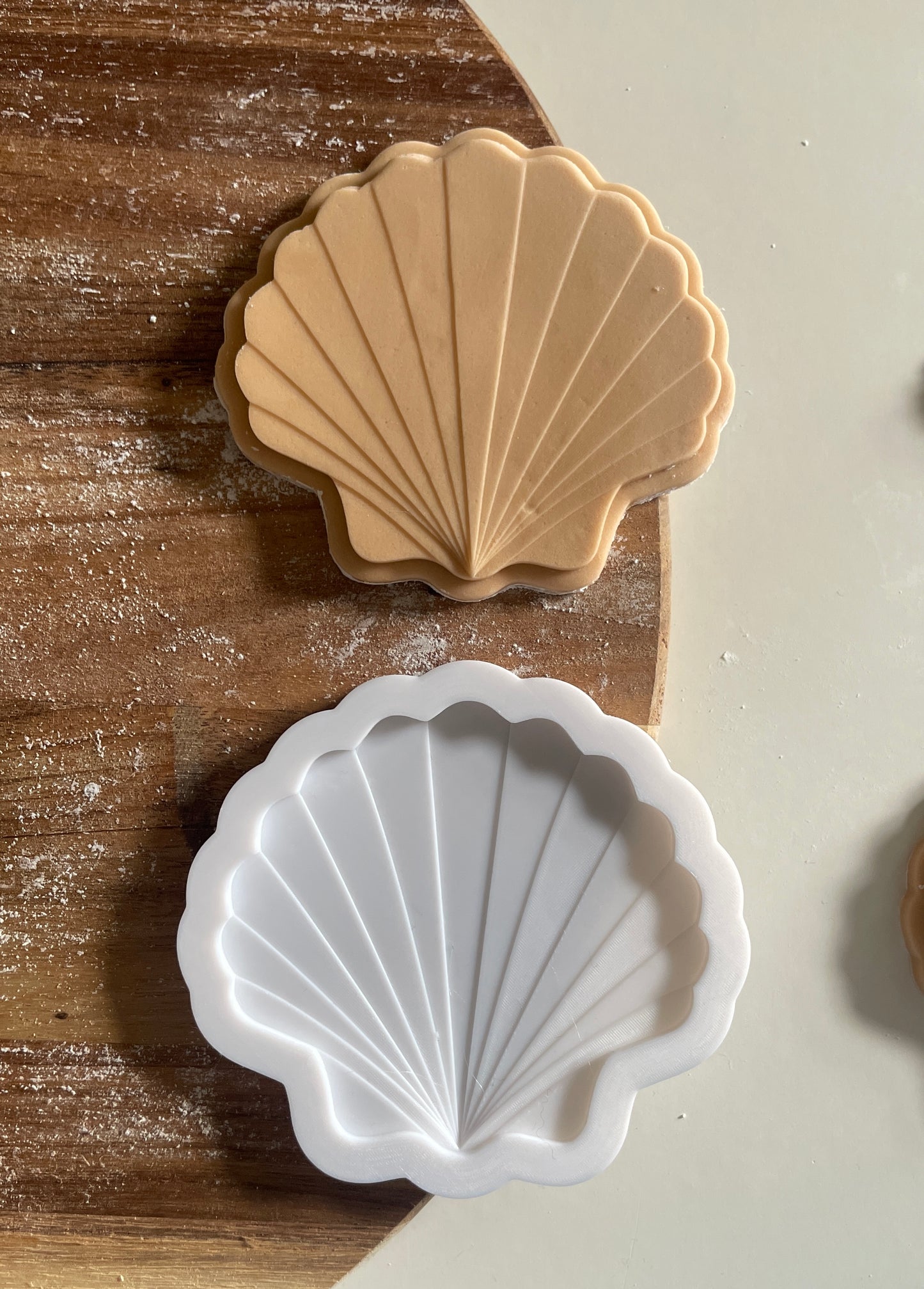 Sea Shell | Debosser And Cutter