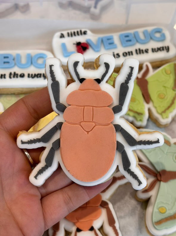 Moth / Butterfly | Embosser / Debosser And Cutter Set