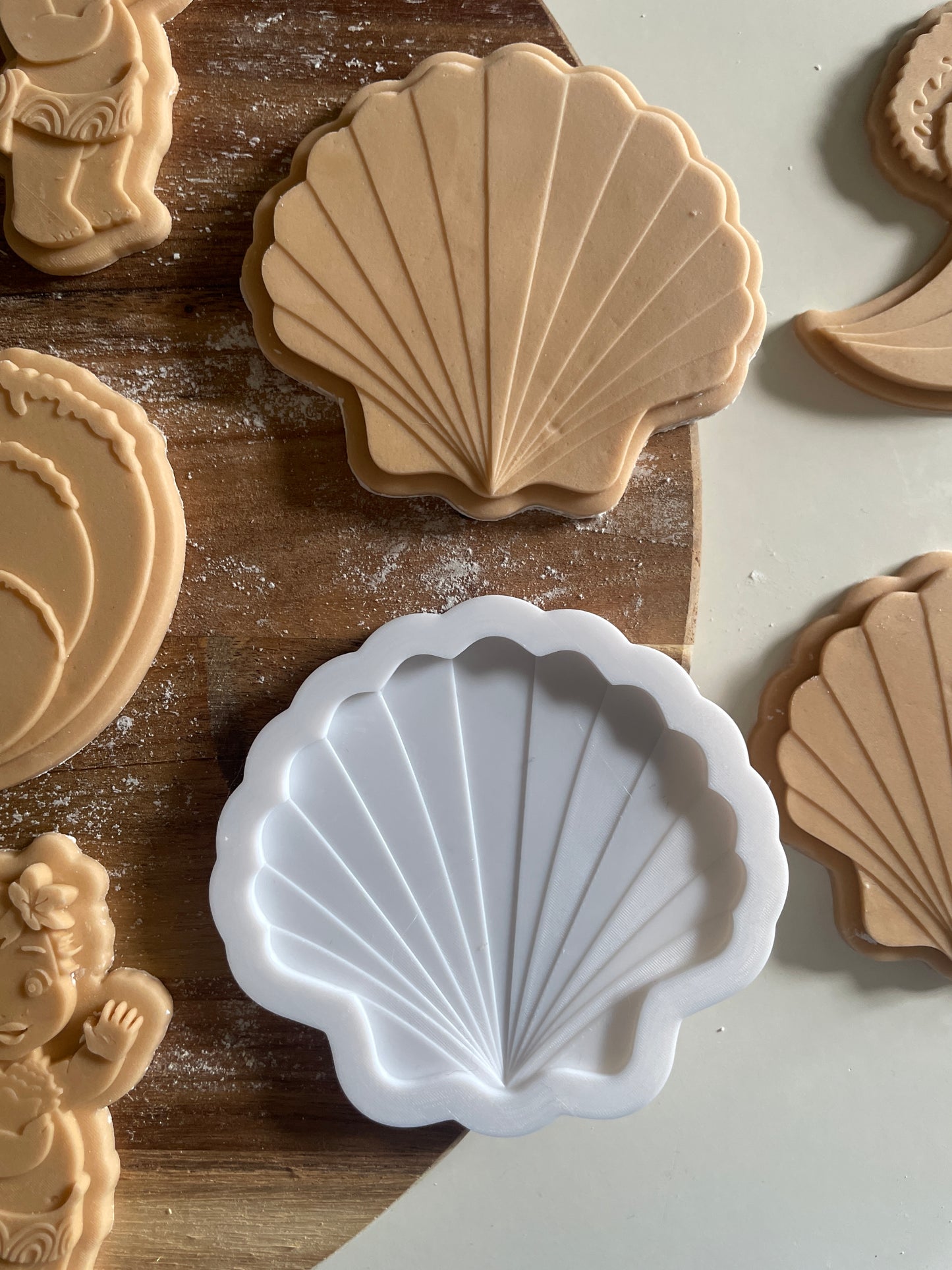 Sea Shell | Debosser And Cutter