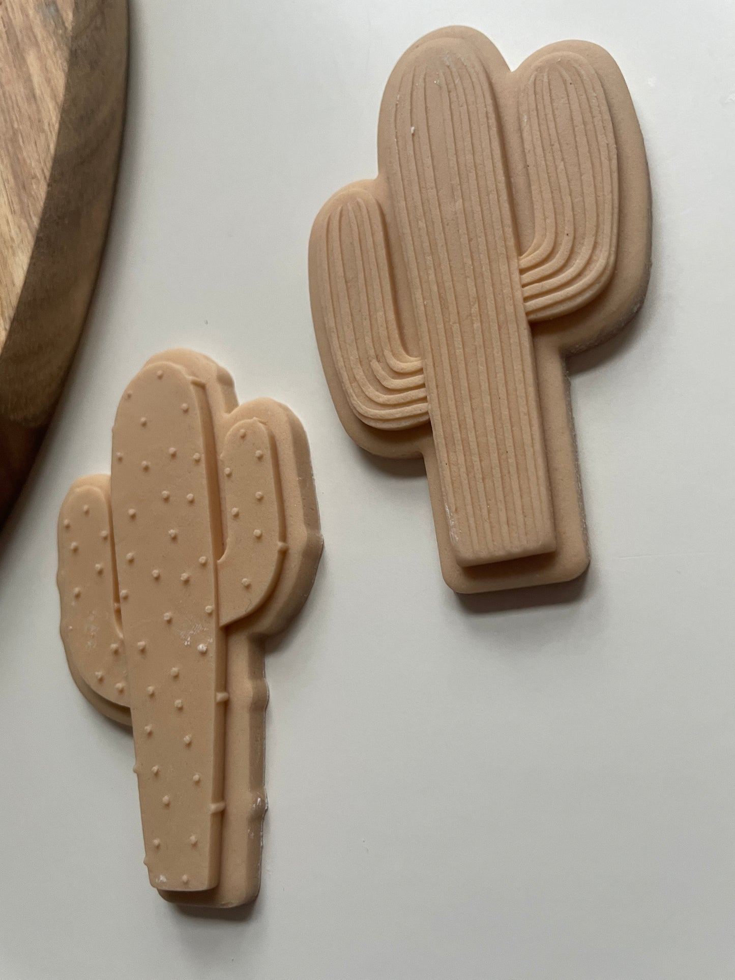 Cactus debosser Embosser and cutter for fondant and biscuits