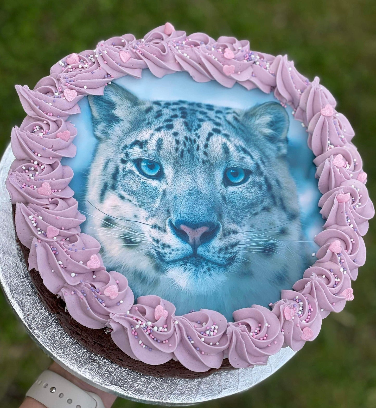 Snow leopard cake topper. Snow leopard cupcake toppers. Edible icing.