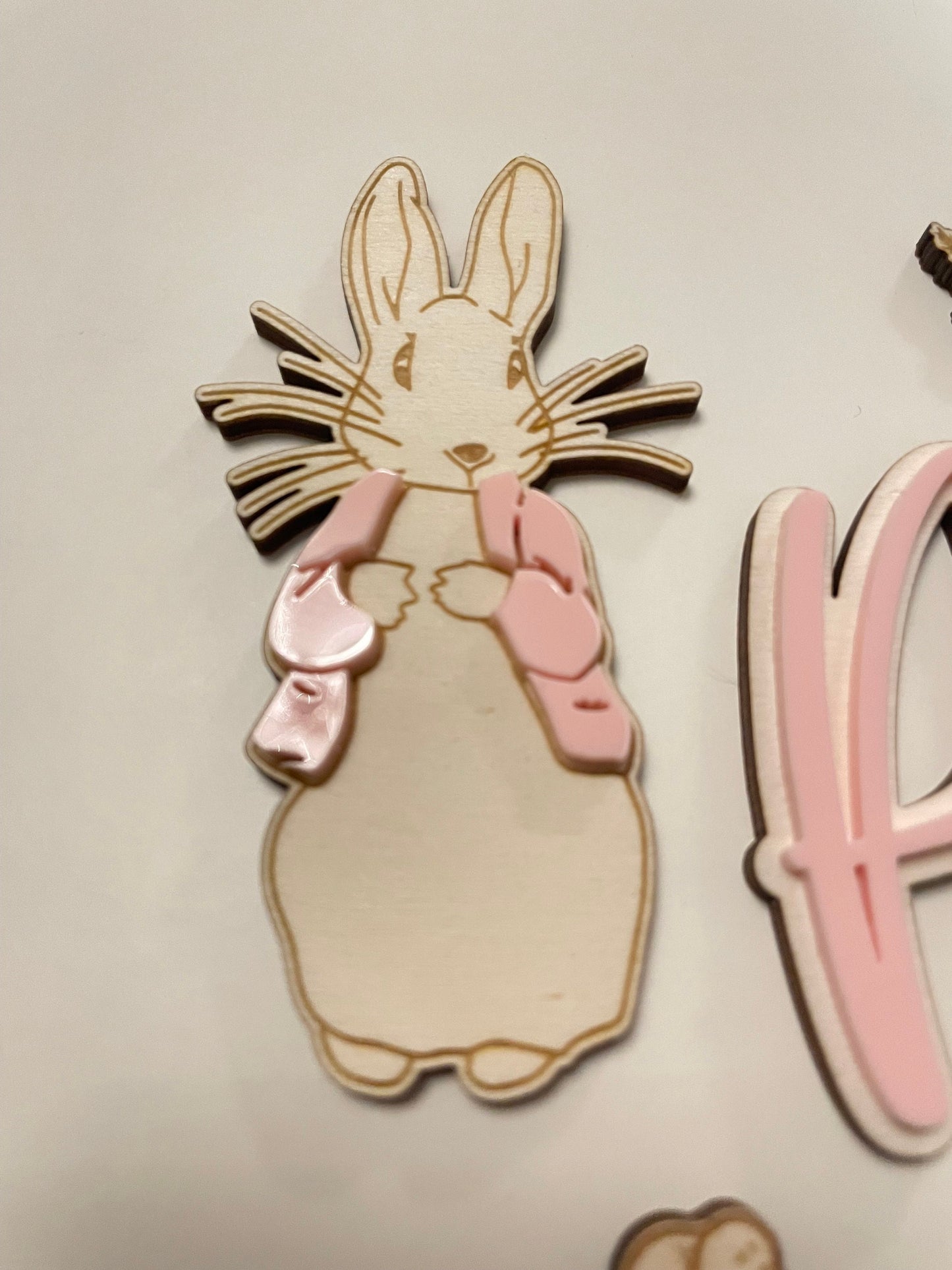 Wooden Rabbit garden theme topper set. Blue or pink.