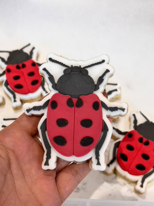 Lady Bug | Embosser / Debosser And Cutter Set