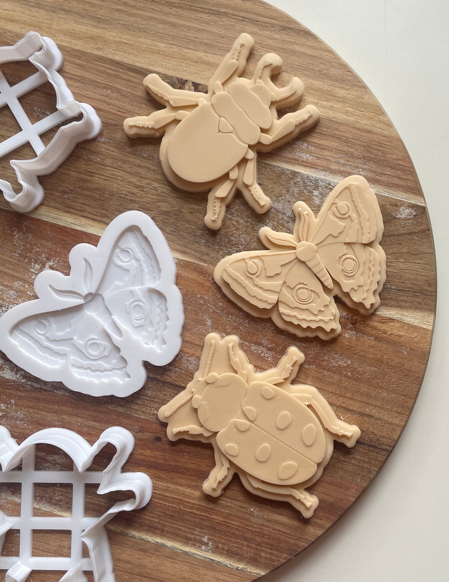 Beetle | Embosser / Debosser And Cutter Set