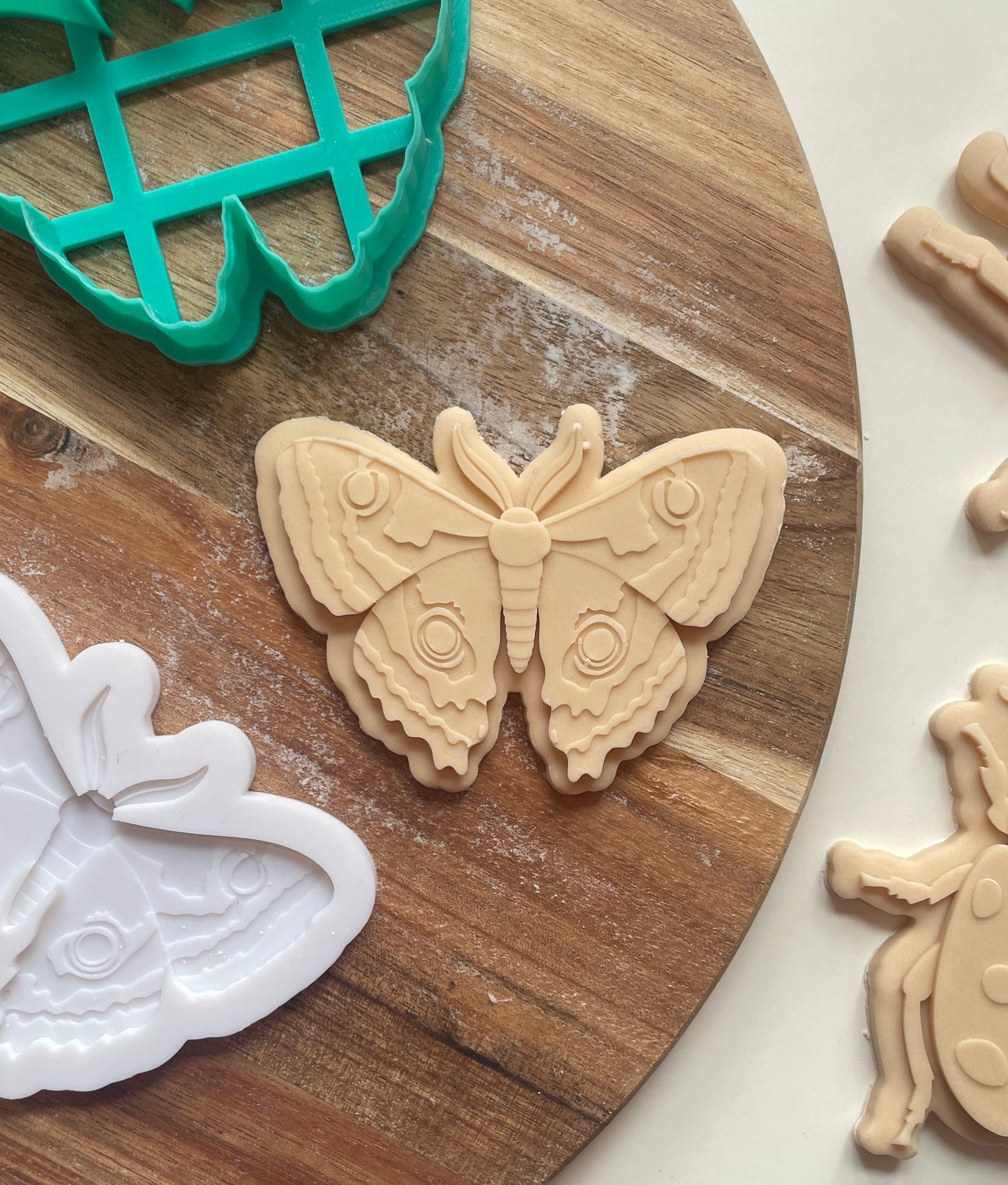 Beetle | Embosser / Debosser And Cutter Set