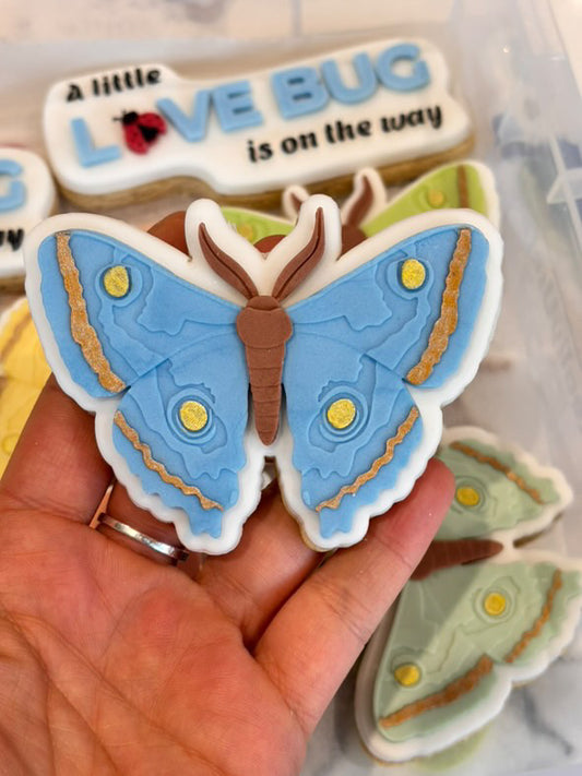 Moth / Butterfly | Embosser / Debosser And Cutter Set