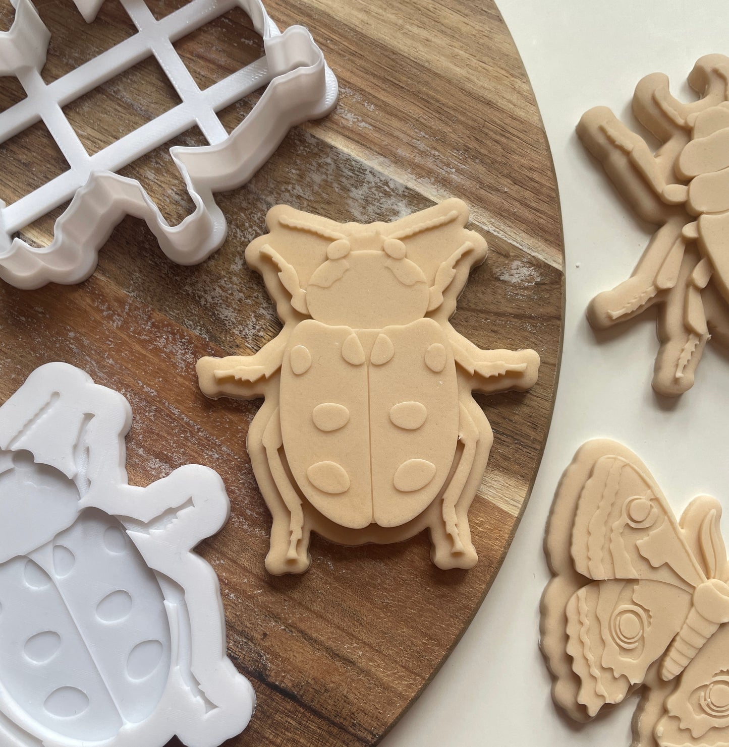 Beetle | Embosser / Debosser And Cutter Set