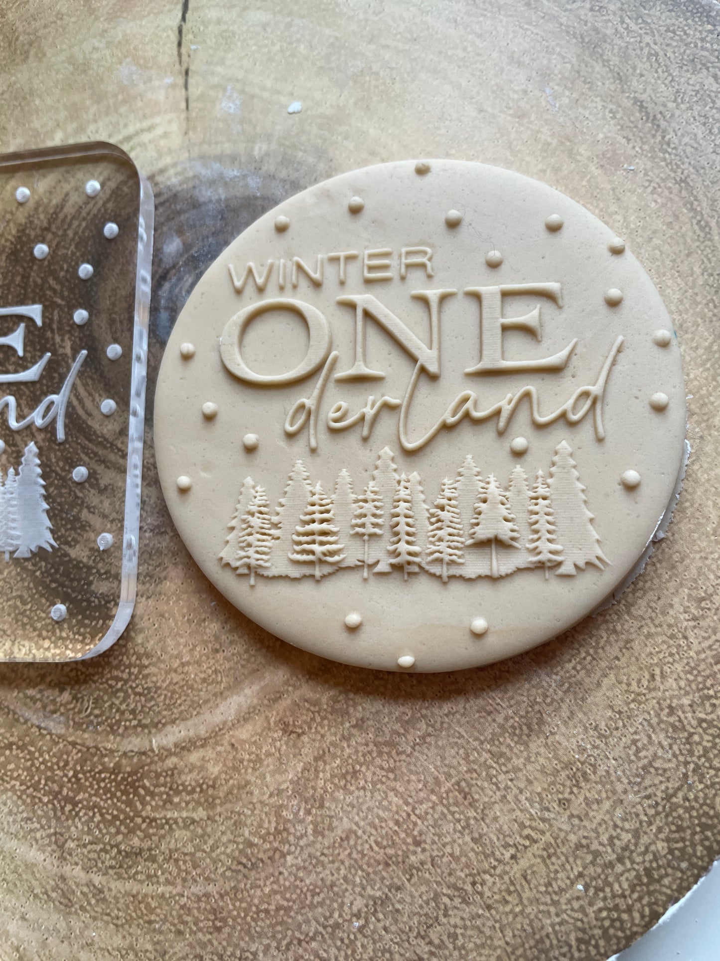 Winter Onderland | Acrylic Debosser / Embosser