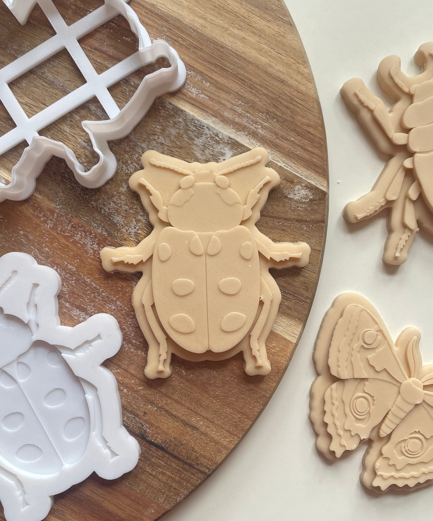 Beetle | Embosser / Debosser And Cutter Set