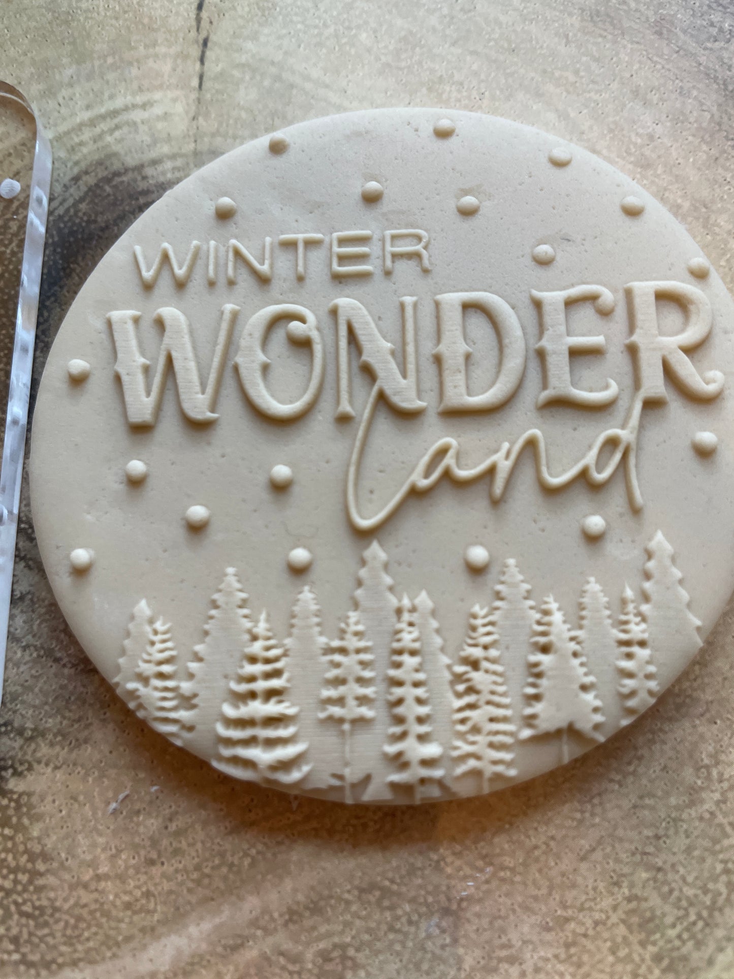 Winter Wonderland | Acrylic Debosser / Embosser.